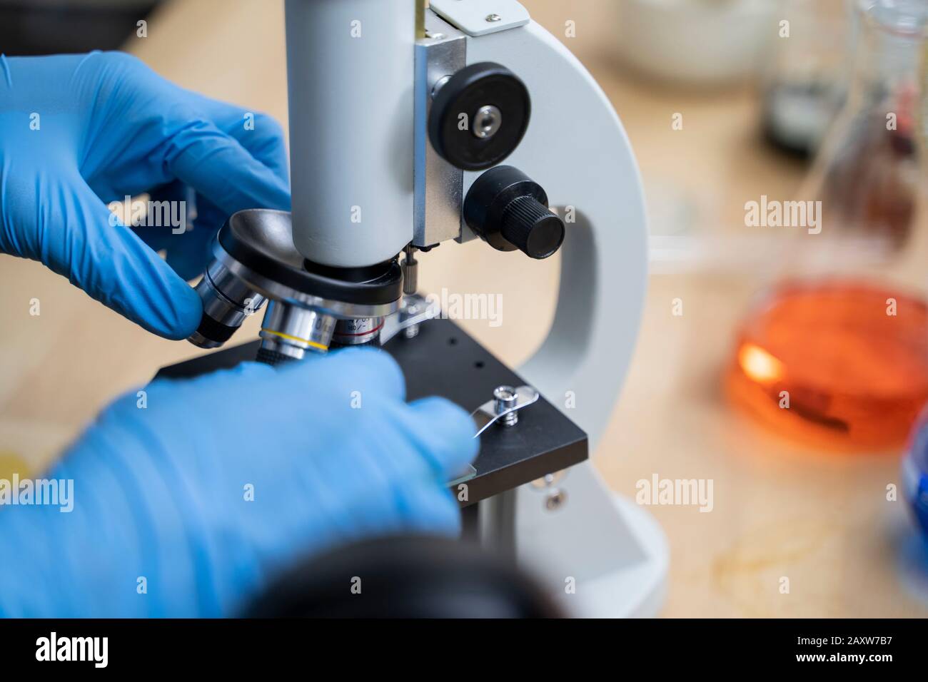 The hands of the analysts are adjusting the microscopes in the lab. Stock Photo