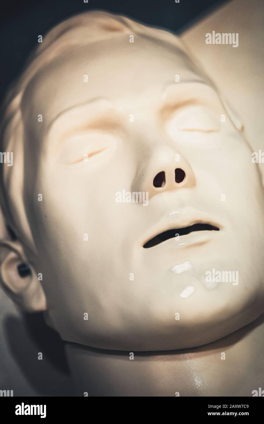 One Layout medical mannequin face man with open mouth closeup, medical