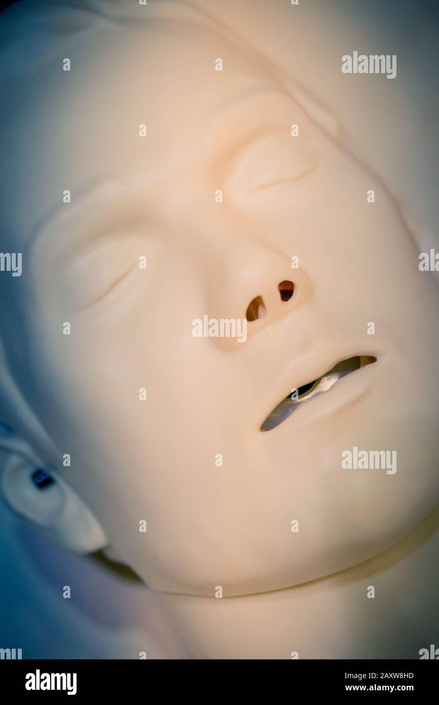 One Layout medical mannequin face man with open mouth closeup, medical