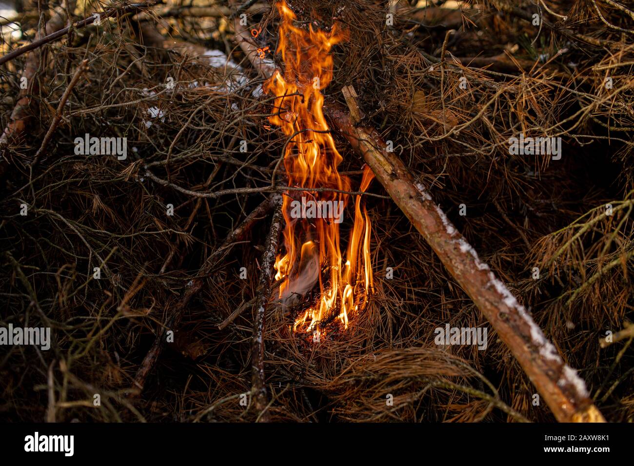 burned firewood in fireplace and fire close up Stock Photo Alamy