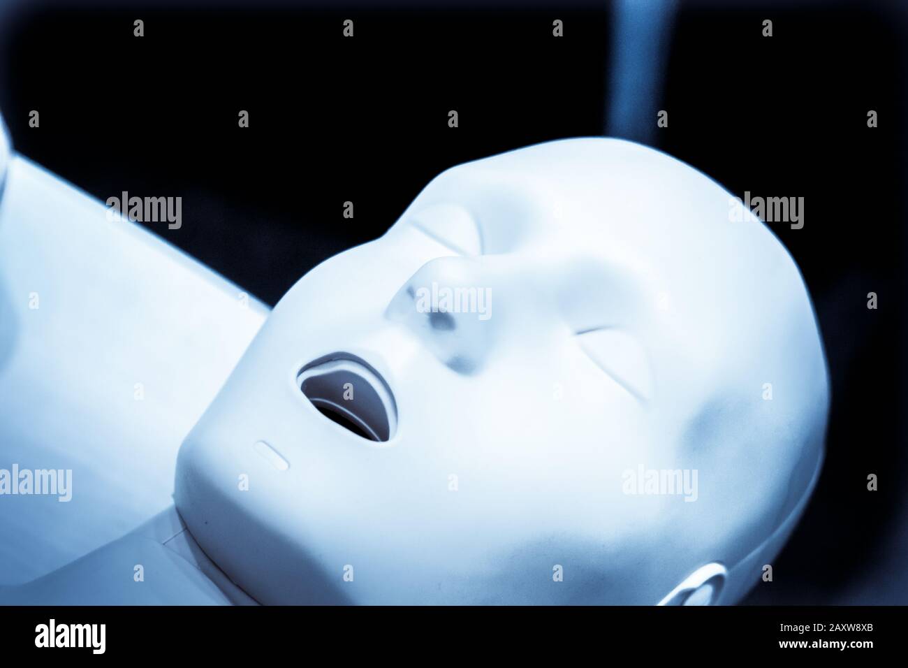 One Layout medical mannequin face man with open mouth closeup, medical exhibit Stock Photo Alamy