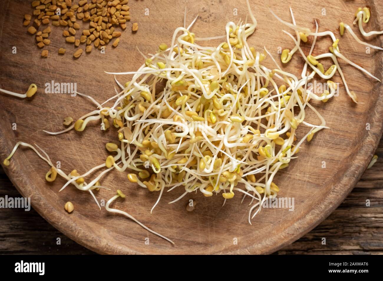 Fenugreek sprouts, with dry seeds in the background, top view Stock Photo