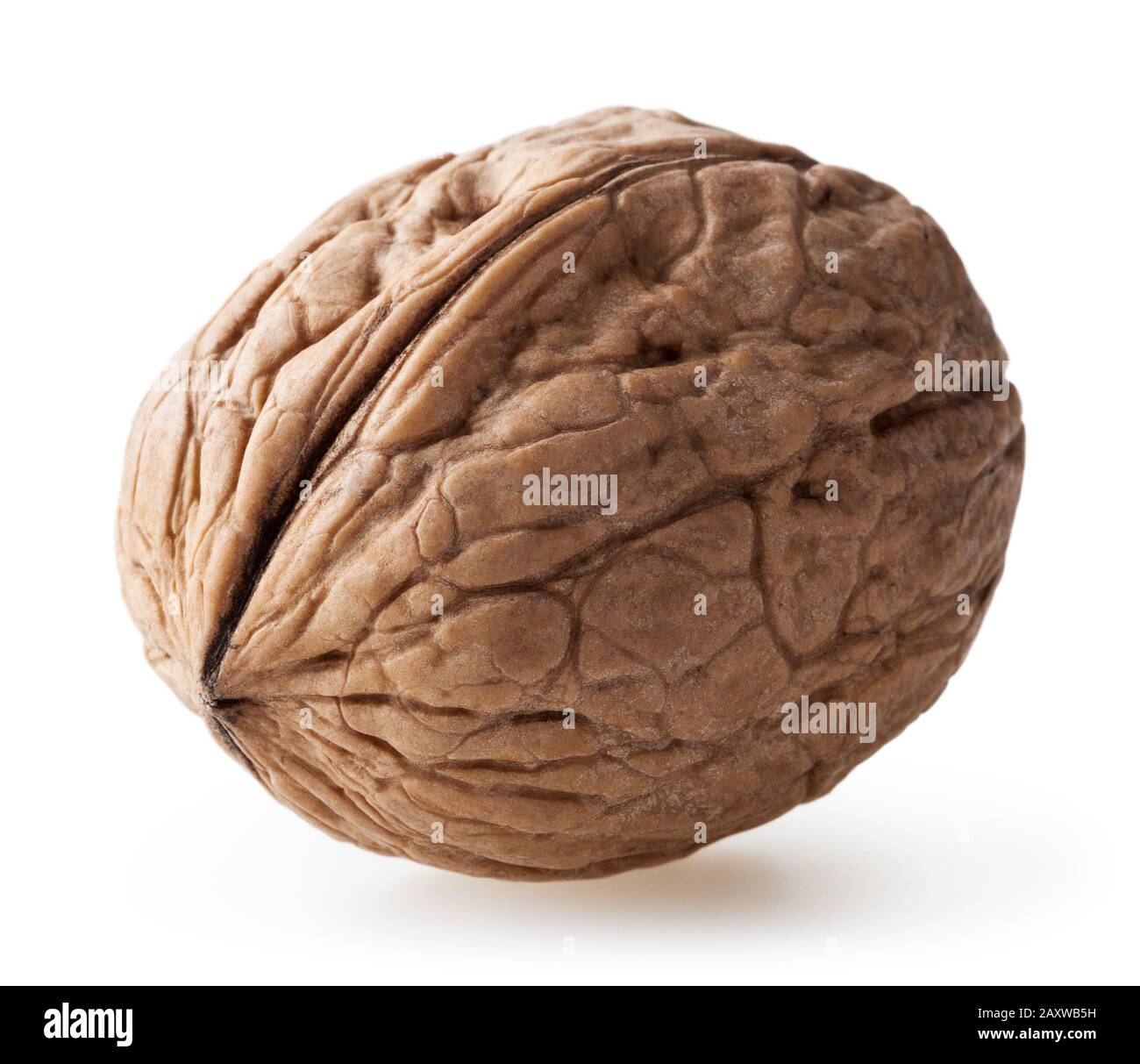 Wulnut isolated on white background Stock Photo