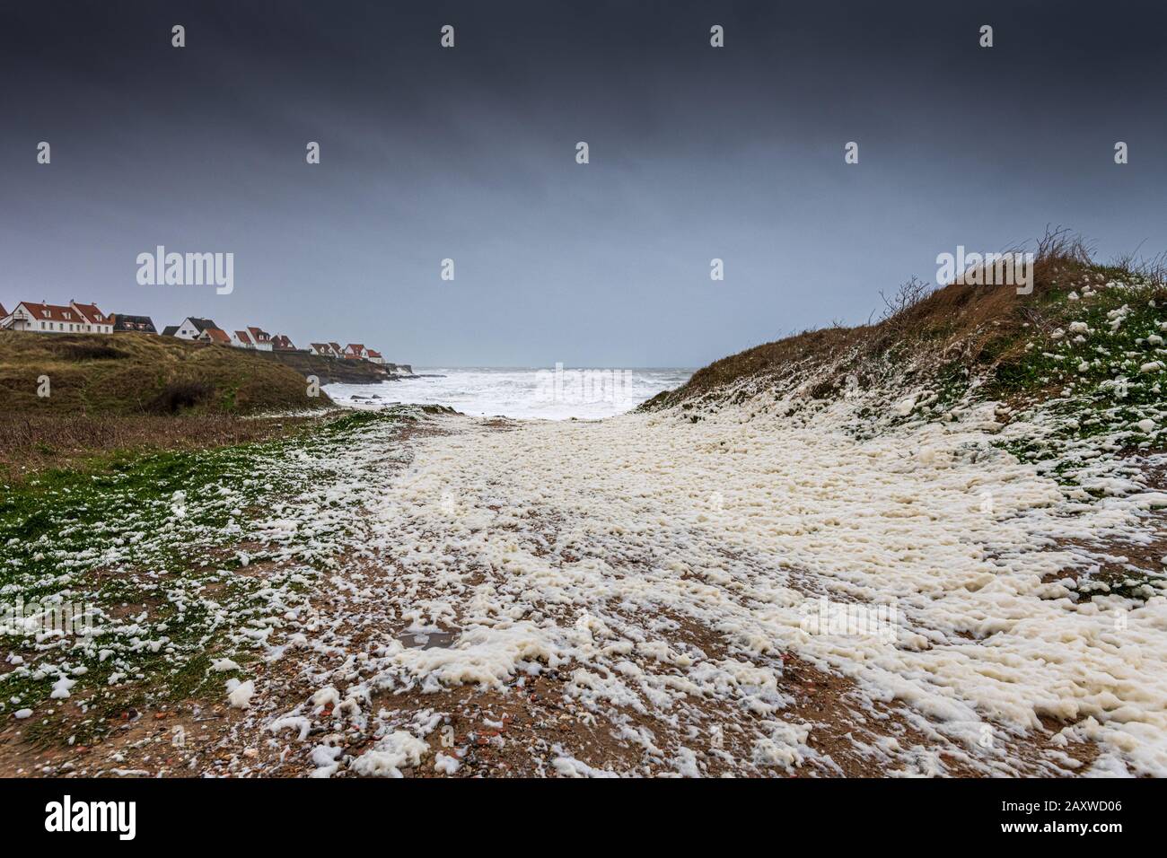 Ecume De Mer Sur La Plage Du Noirda Lors De La Tempete Ciara Audreselles Pas De Calais France Stock Photo Alamy