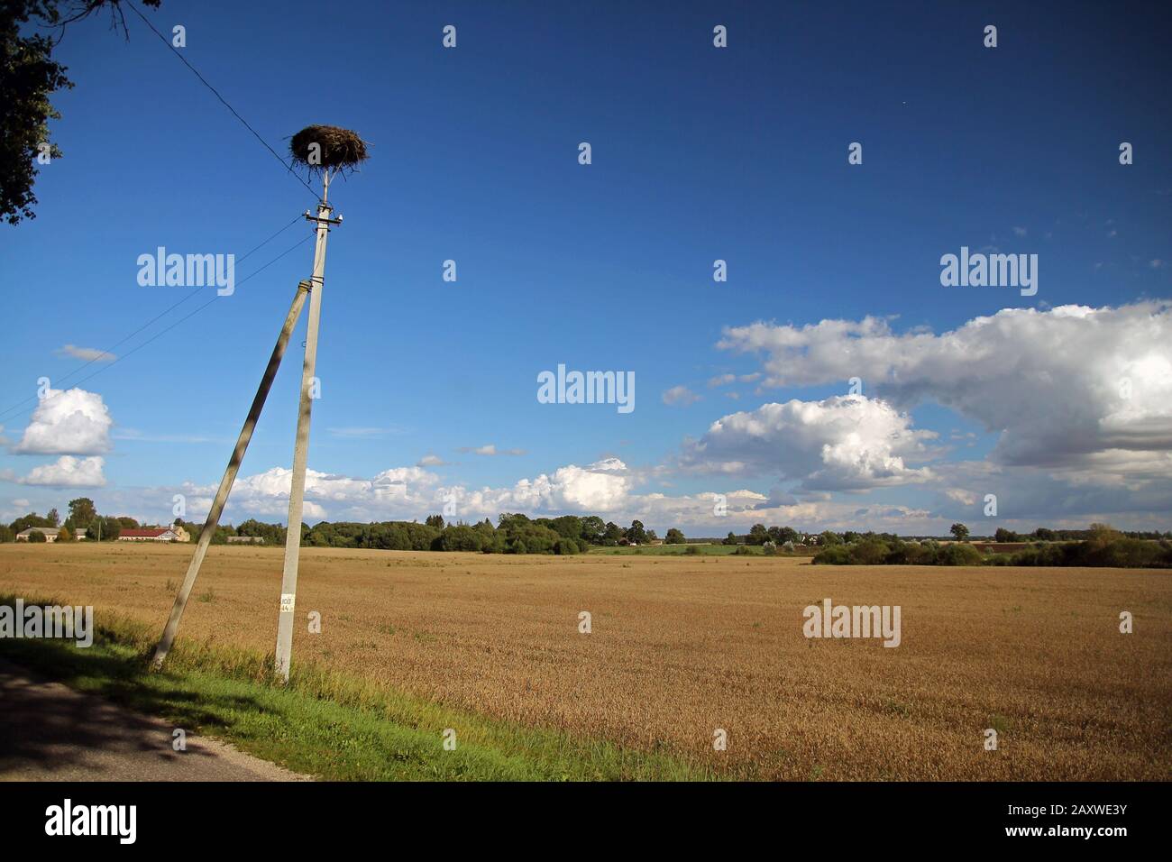 The nest on the top of a pole in the prairie Stock Photo
