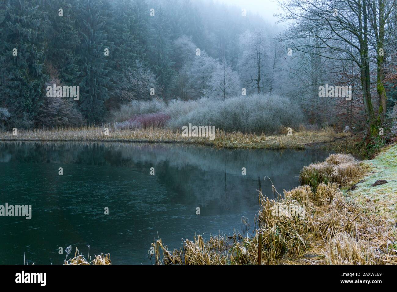 Zugefrorener Teich des Oberharzer Wasserregal, Teil des UNESCO Welterbe
