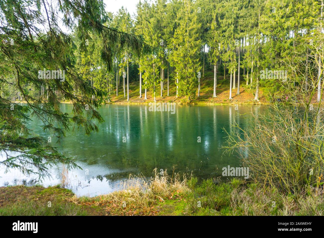 Hahnenklee hires stock photography and images Alamy