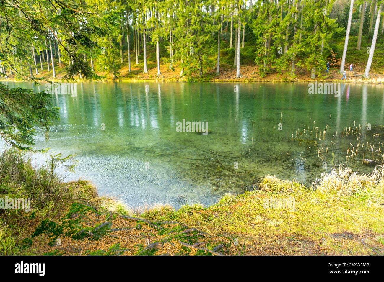 Bockswiese hires stock photography and images Alamy