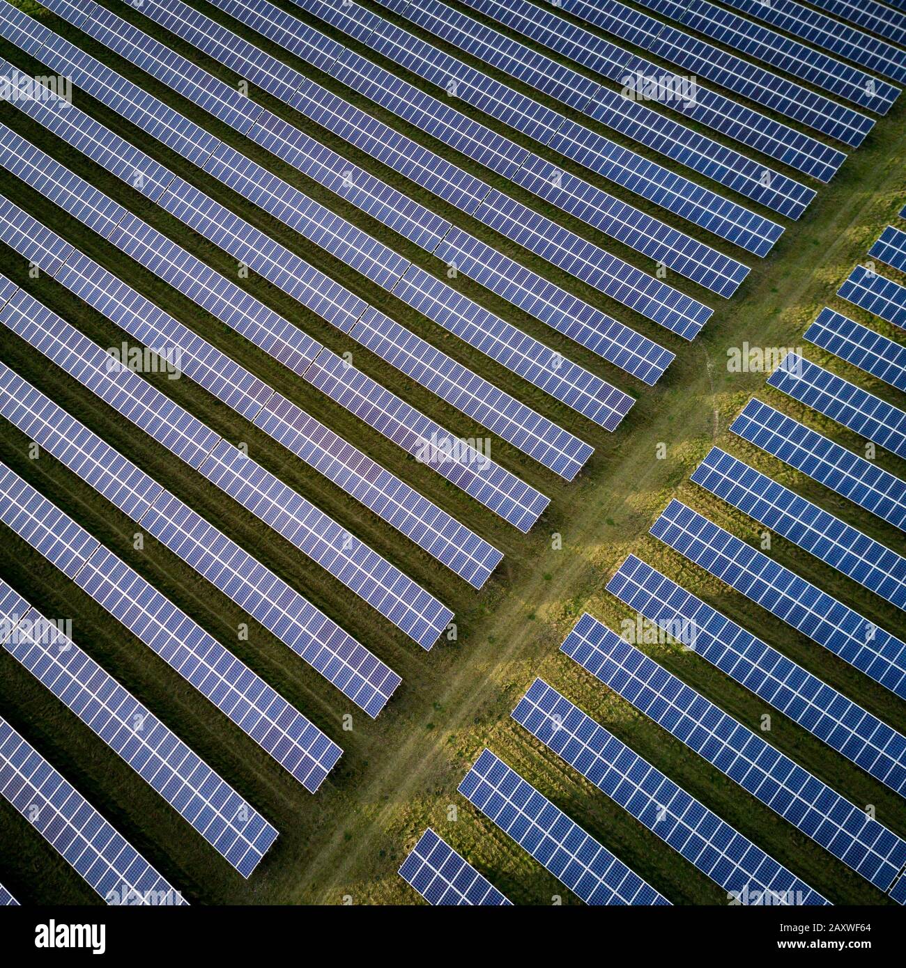 Solar energy farm. High angle, elevated view of solar panels on an energy farm in rural England; full frame background texture. Stock Photo