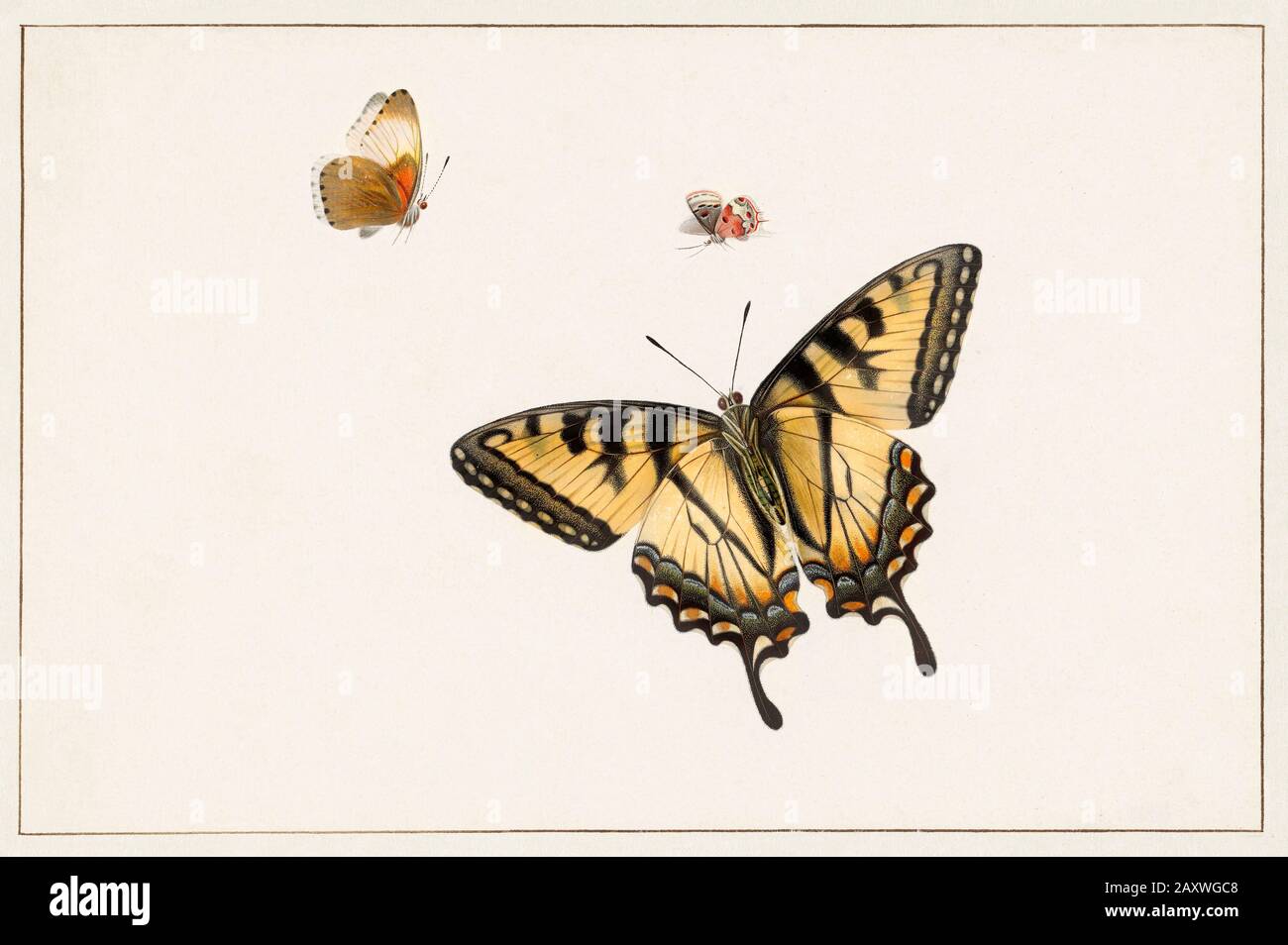 Vintage artwork illustration Stock Photo Alamy