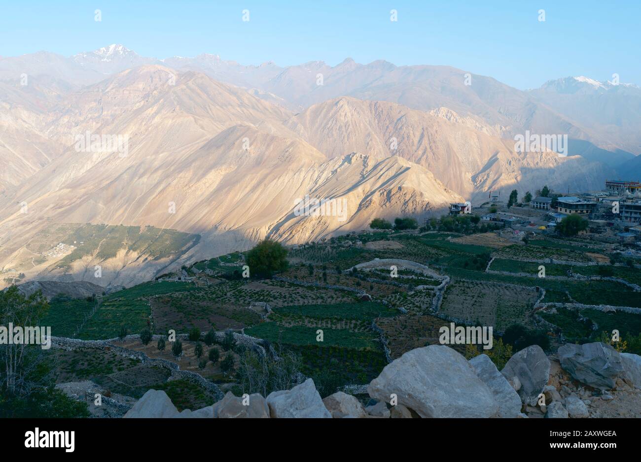 View of village agricultural fields with dry stone walls with rugged Himalayas in background on bright summer morning in Nako, Himachal Pradesh, India. Stock Photo