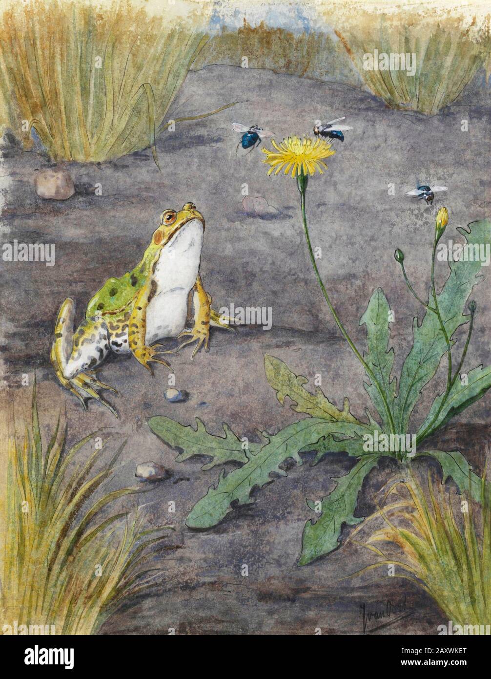 Vintage artwork illustration Stock Photo Alamy