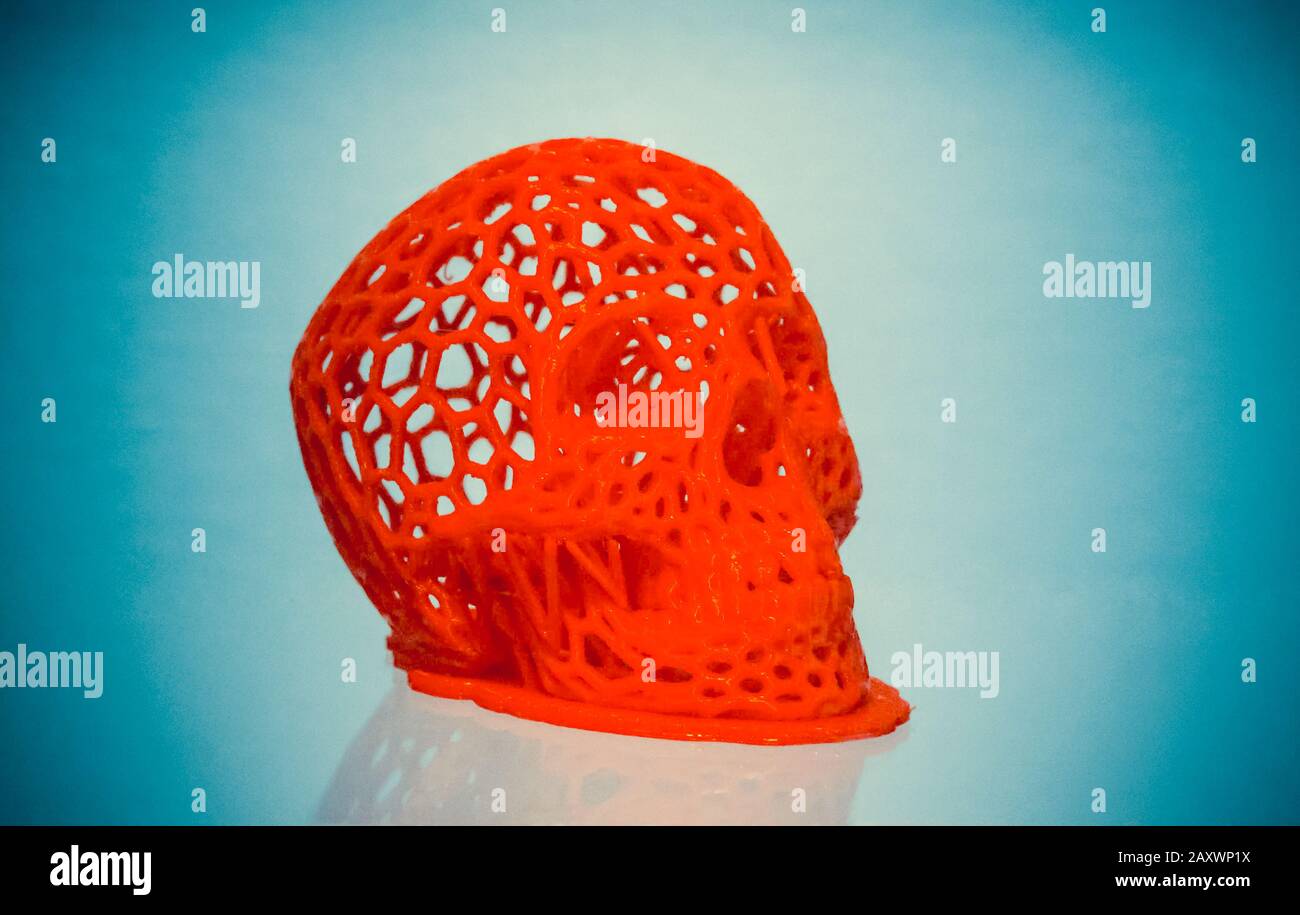 Skull printed with plastic of red color on a 3d printer on blue background Stock Photo