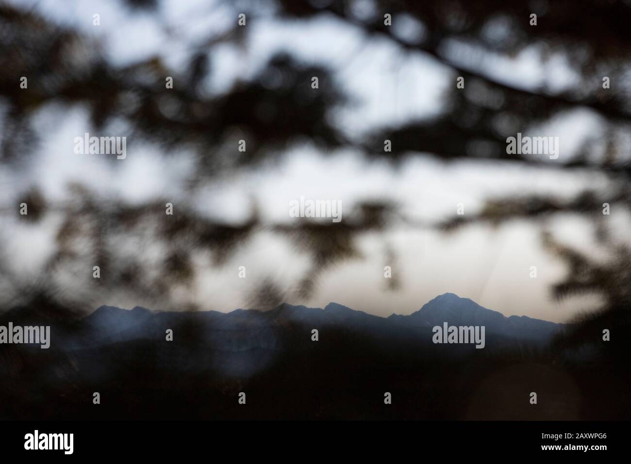 A mountain range peaking through the trees Stock Photo