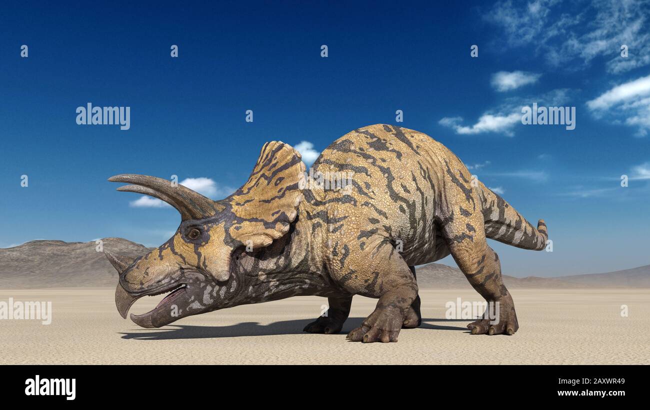 Triceratops, dinosaur reptile crawling, prehistoric Jurassic animal in deserted nature environment, 3D illustration Stock Photo