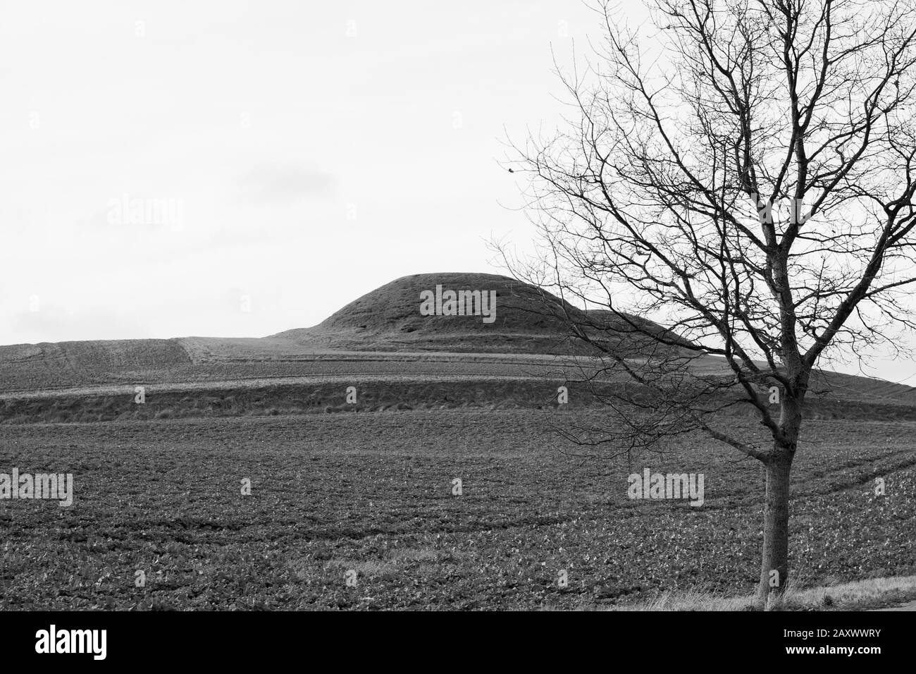 The Royal Mounds in Oxie, Malmø, Sweden Stock Photo Alamy