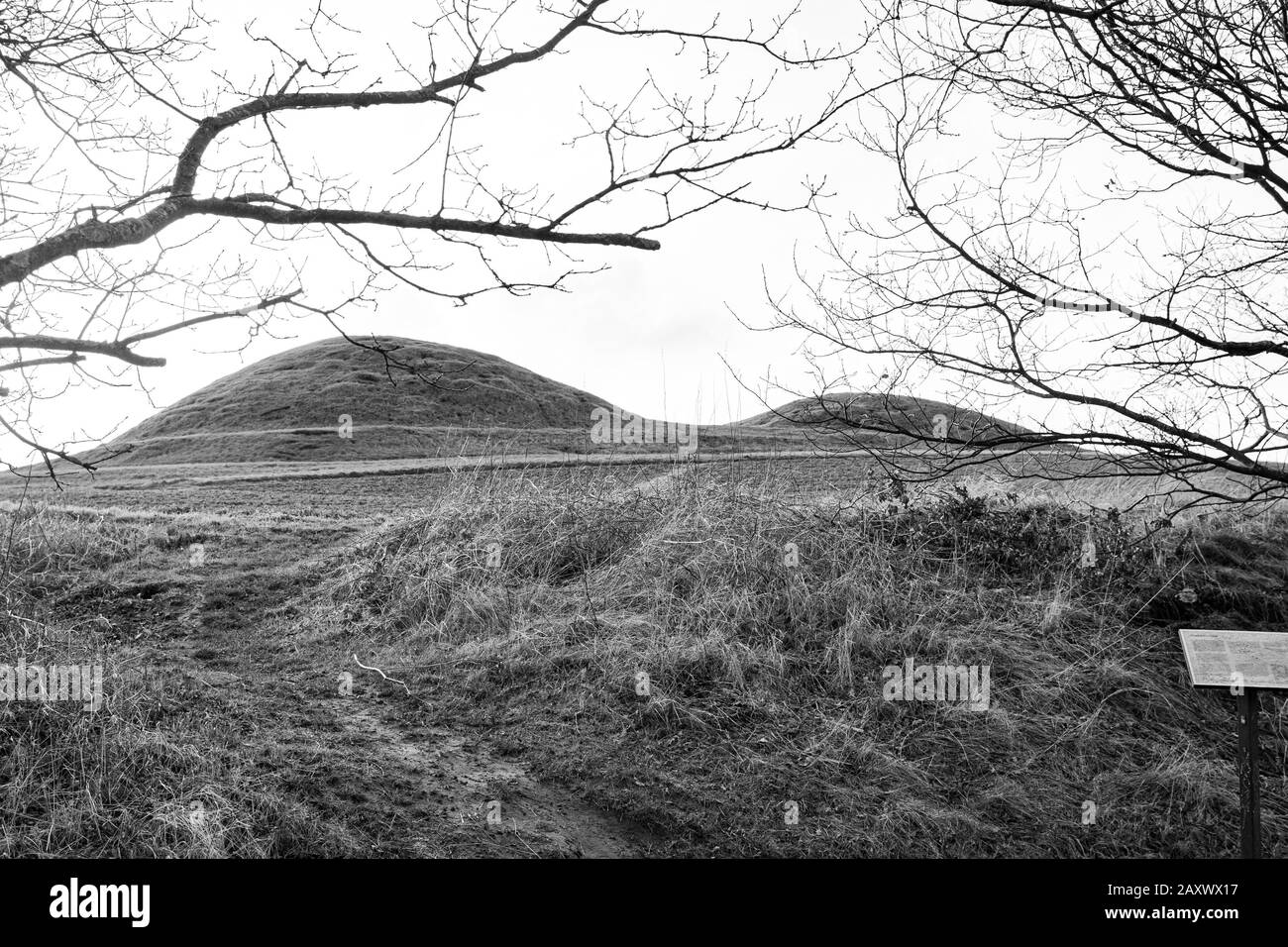 The Royal Mounds in Oxie, Malmø, Sweden Stock Photo Alamy