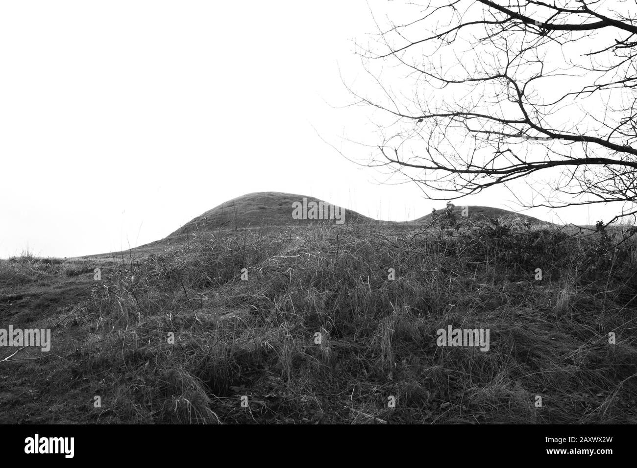 The Royal Mounds in Oxie, Malmø, Sweden Stock Photo Alamy