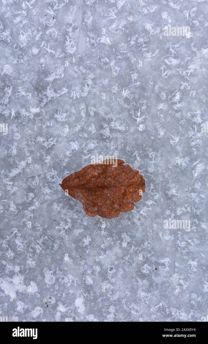 frozen ice abstract background. Stock Photo
