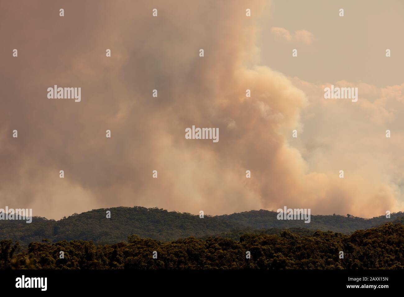 Bush fire smoke in a valley in The Blue Mountains in Australia Stock ...