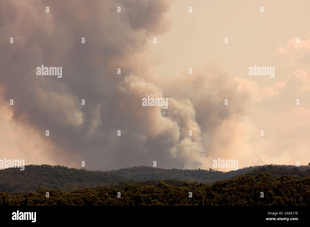 Bush fire smoke in a valley in The Blue Mountains in Australia Stock ...
