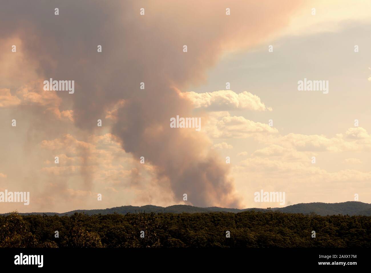 Bush fire smoke in a valley in The Blue Mountains in Australia Stock ...