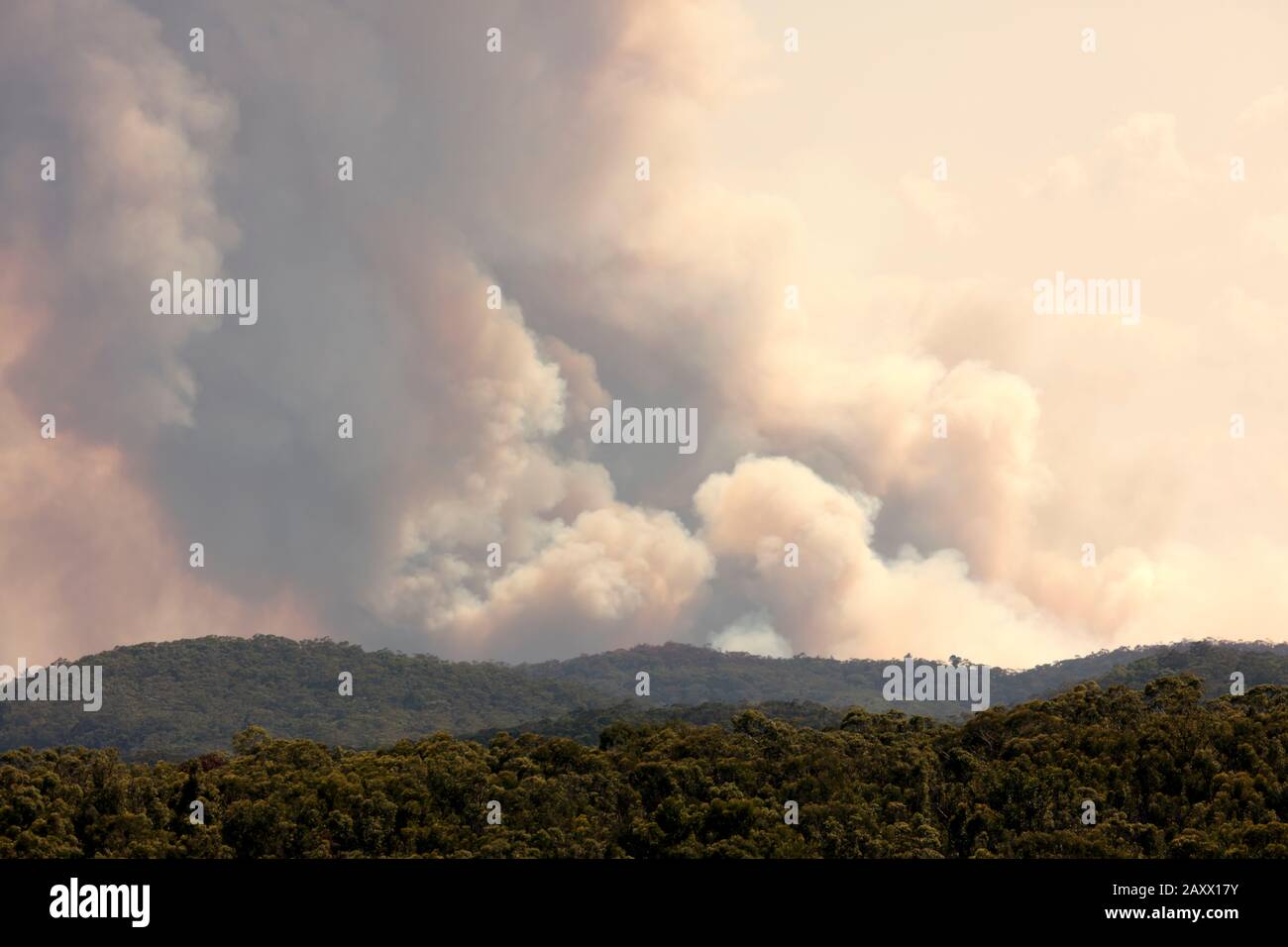 Bush fire smoke in a valley in The Blue Mountains in Australia Stock ...