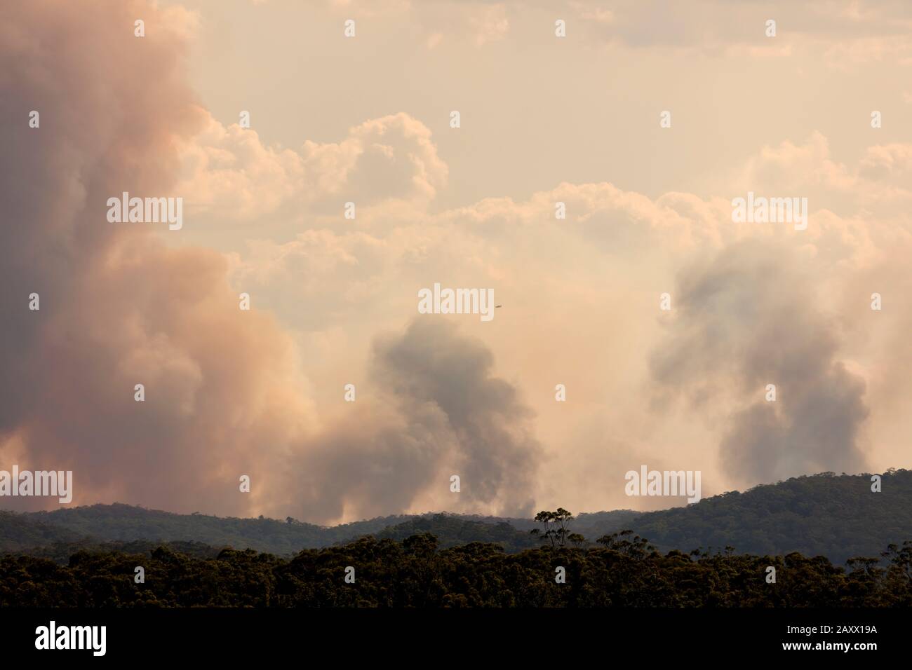 Bush fire smoke in a valley in The Blue Mountains in Australia Stock ...