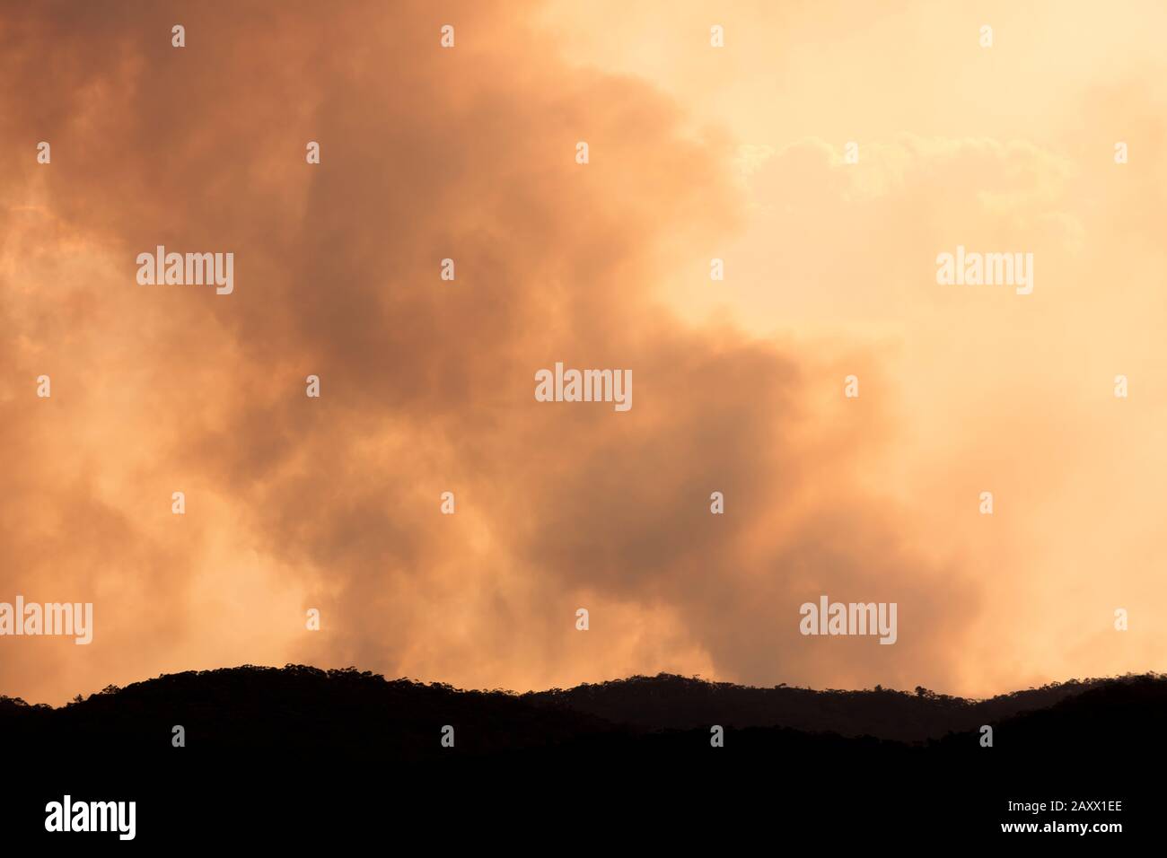 Bush fire smoke in a valley in The Blue Mountains in Australia Stock ...
