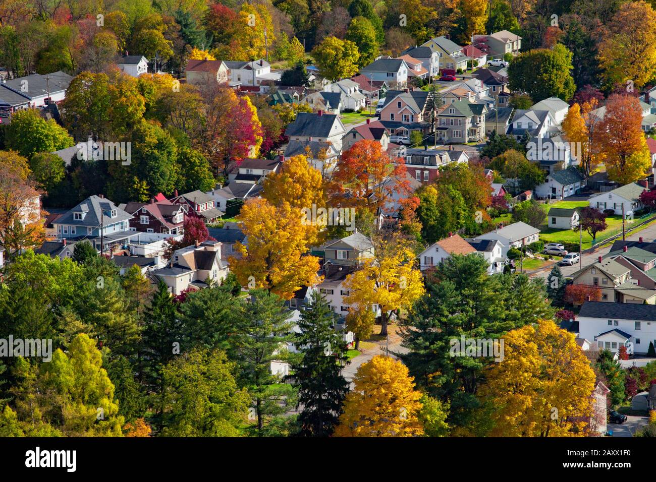 Port jervis tree hires stock photography and images Alamy