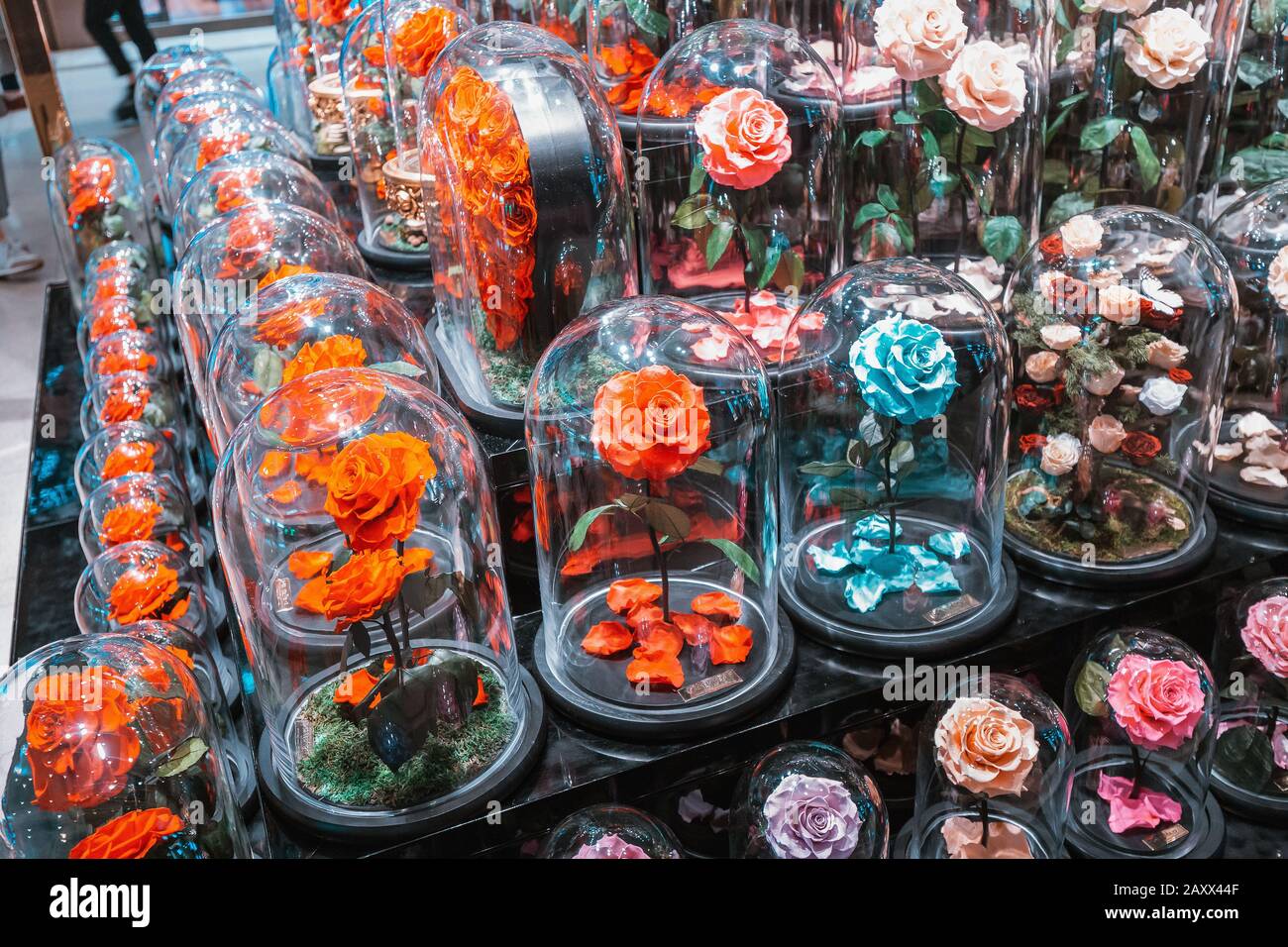 Ornamental glass house flowers hires stock photography and images Alamy