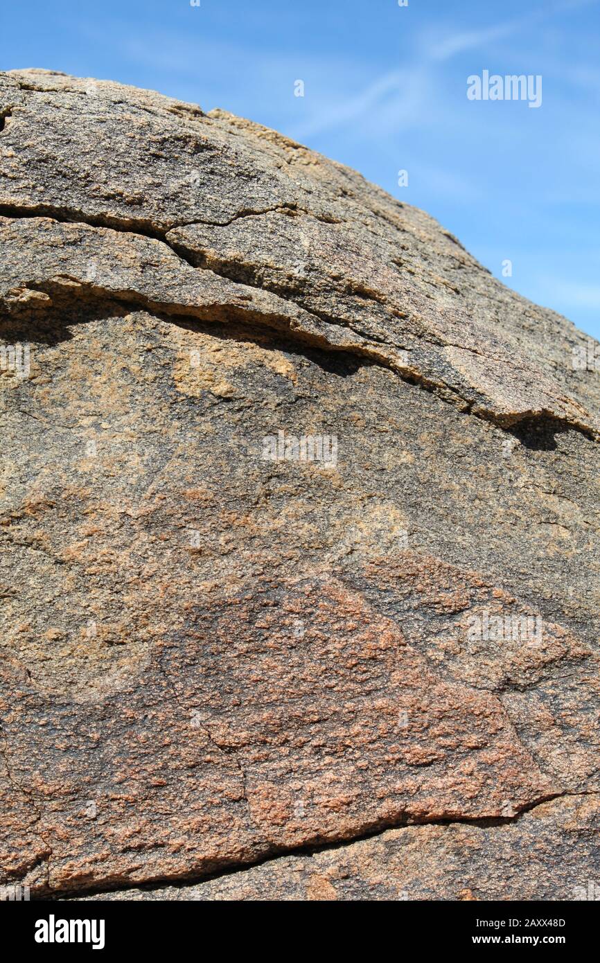 Rocks provide several important ecological roles in the Southern Mojave Desert of Joshua Tree National Park, including temperature regulation, shelter. Stock Photo