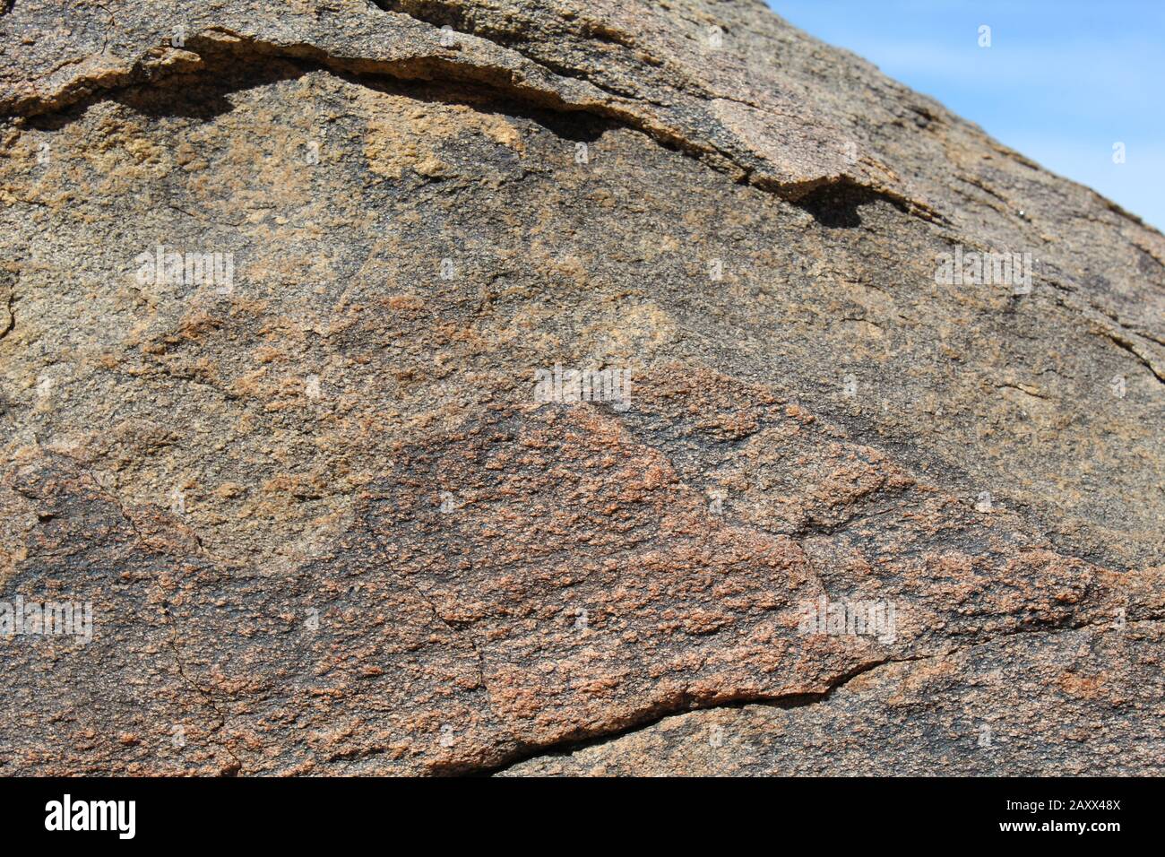 Rocks provide several important ecological roles in the Southern Mojave Desert of Joshua Tree National Park, including temperature regulation, shelter. Stock Photo