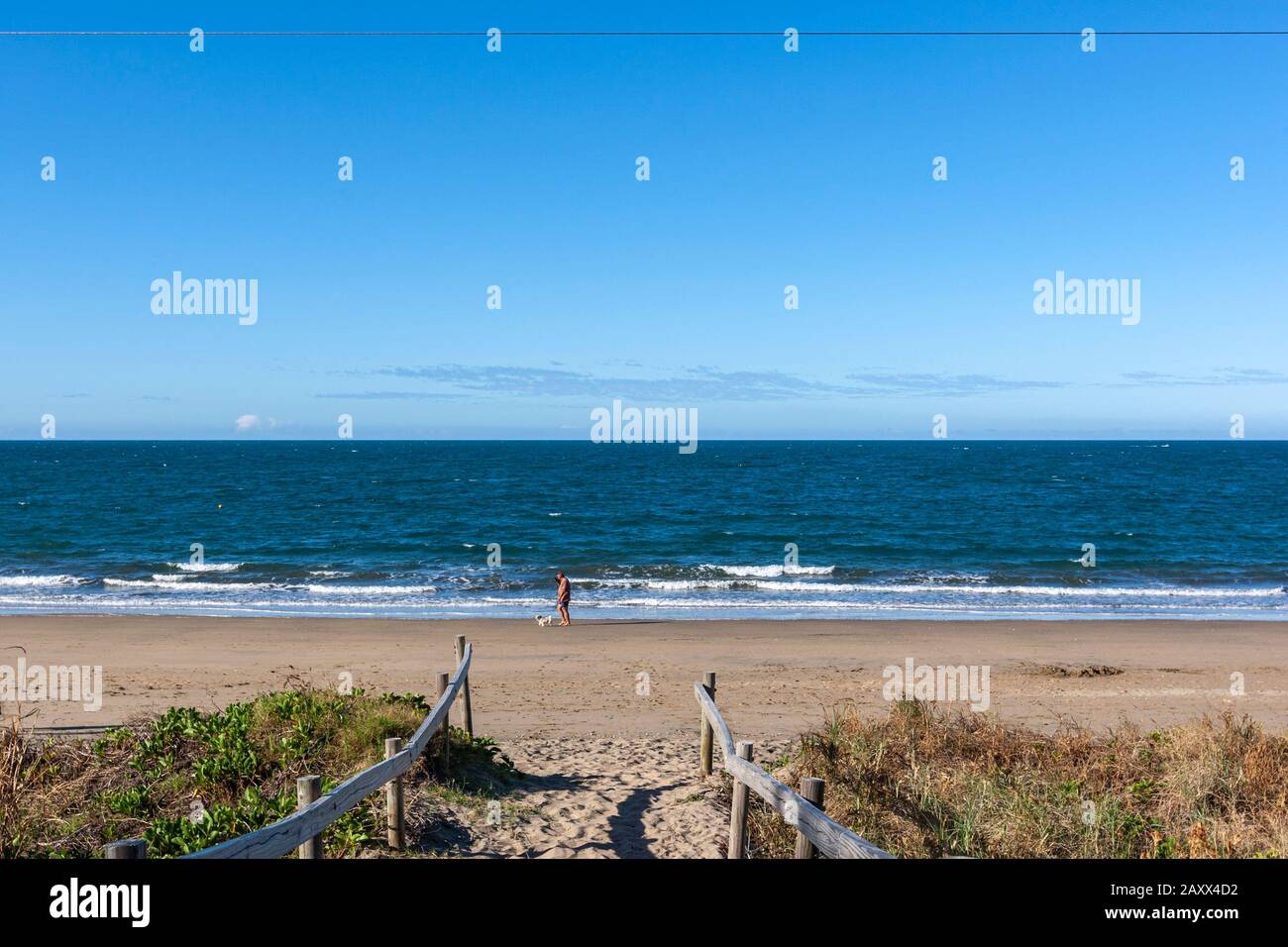 Man and dog in on the beach, Queens Beach, Queensland, Australia Stock