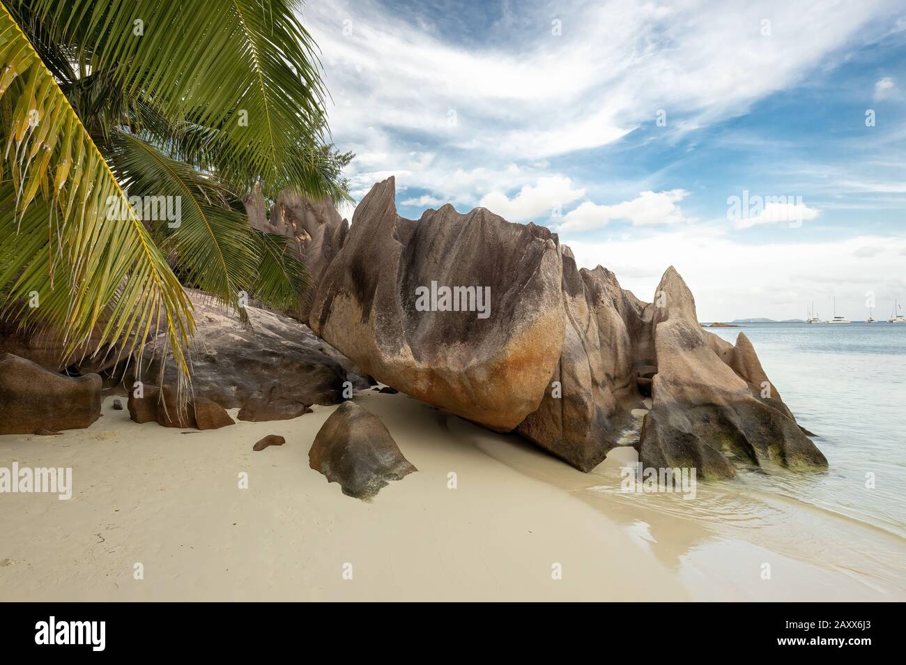 Tropical beach at Curieuse island Seychelles with famous volcanic stones and palm tree leafs. Nobody Stock Photo