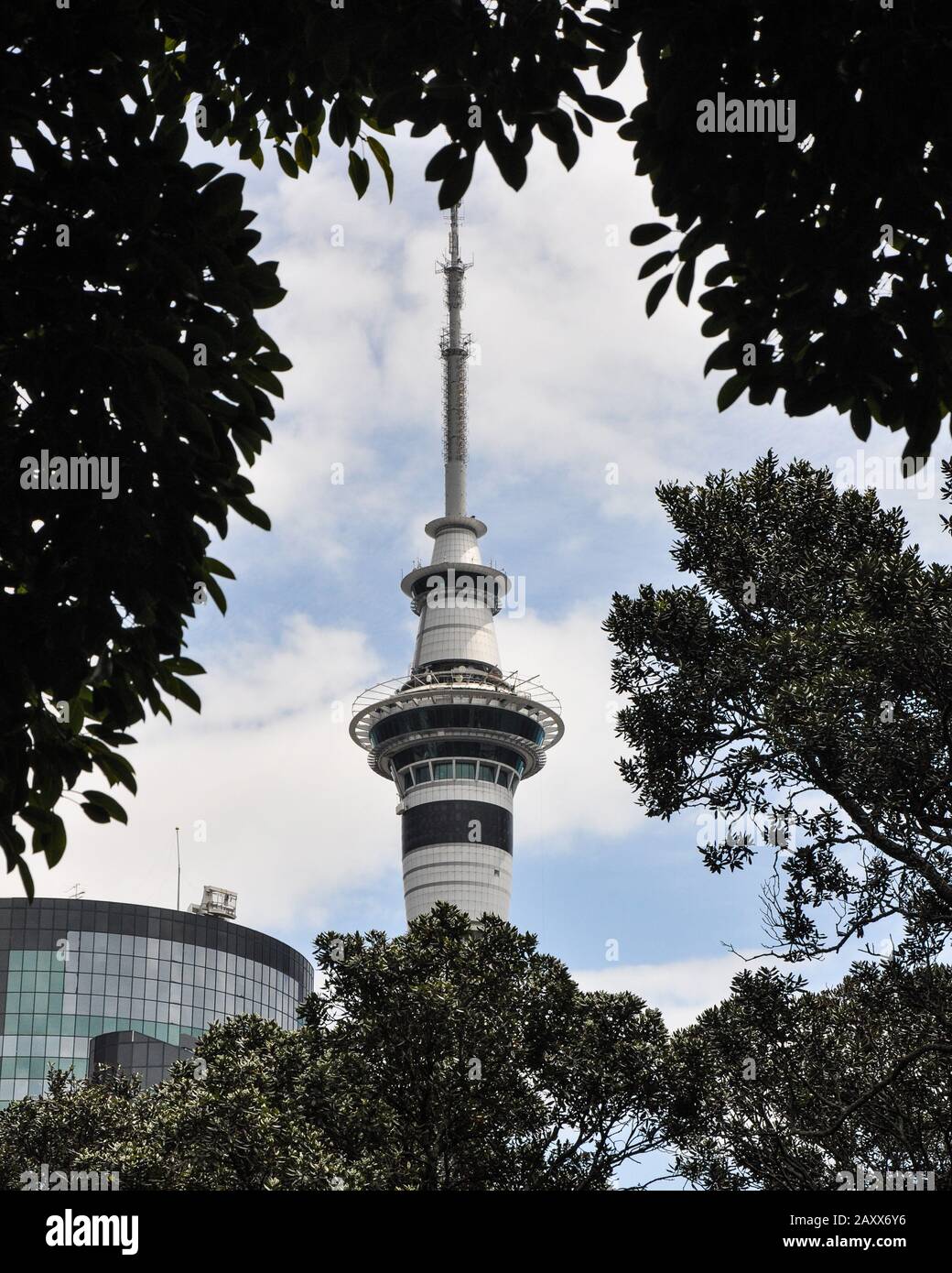 Sky Tower, Auckland, New Zealand Stock