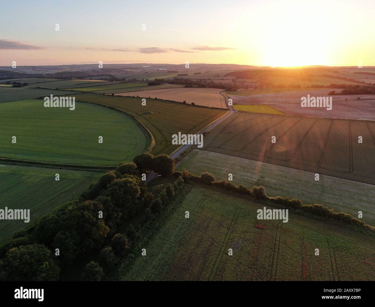 an aerial view of a trees and rolling countryside , at sunset, Badbury ...