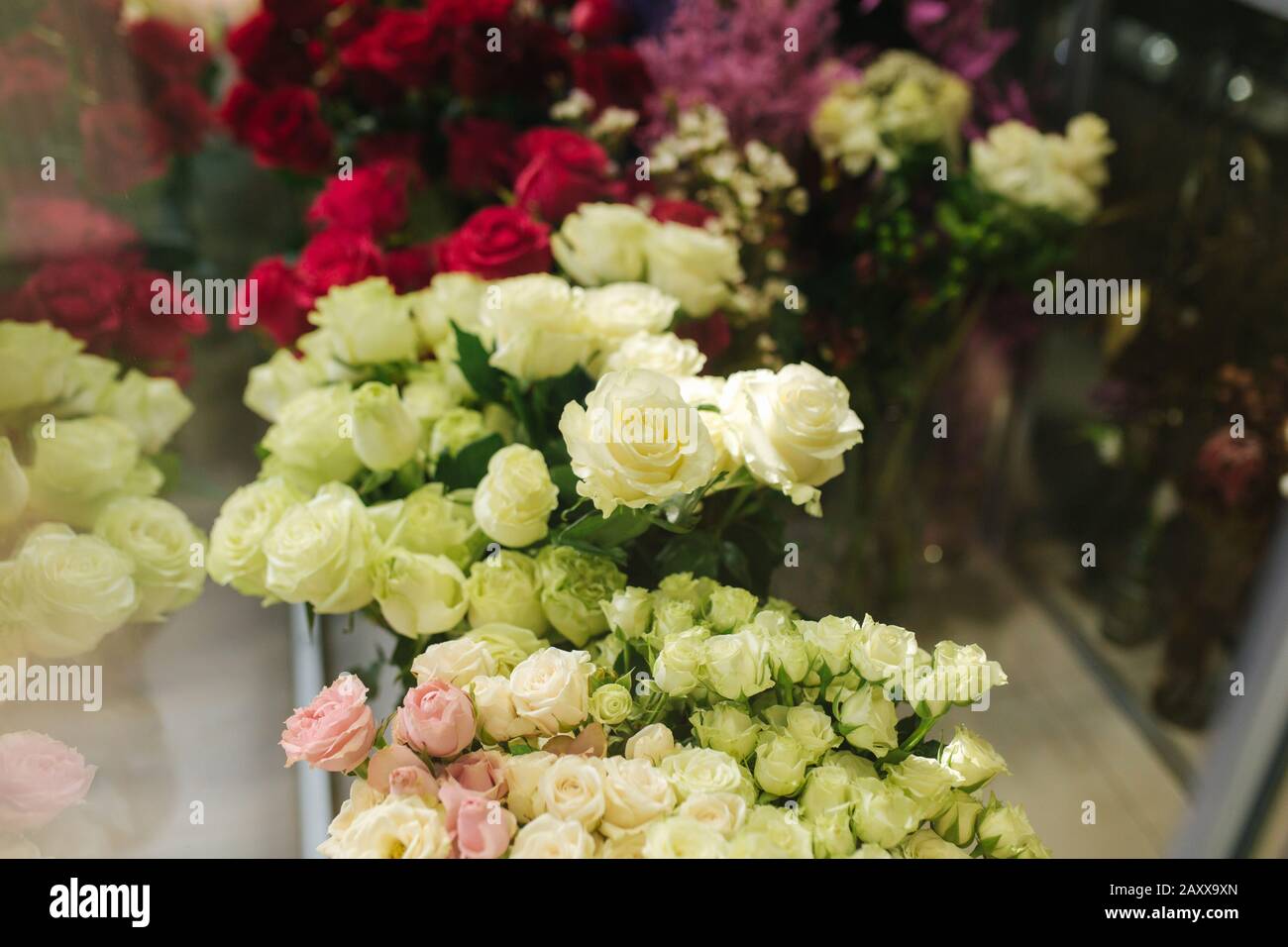Different varieties fresh spring flowers in refrigerator room for