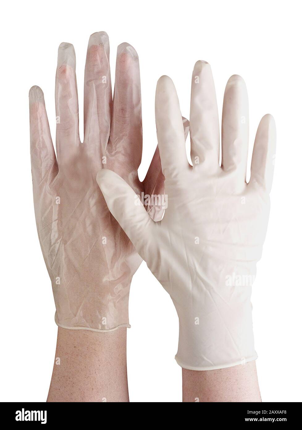 Latex Medical Gloves Stock Photo
