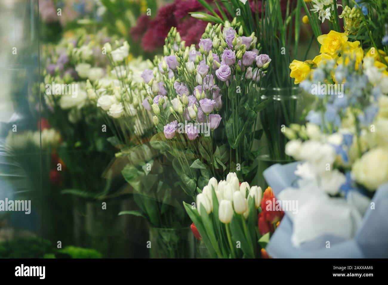 Different varieties fresh spring flowers in refrigerator room for