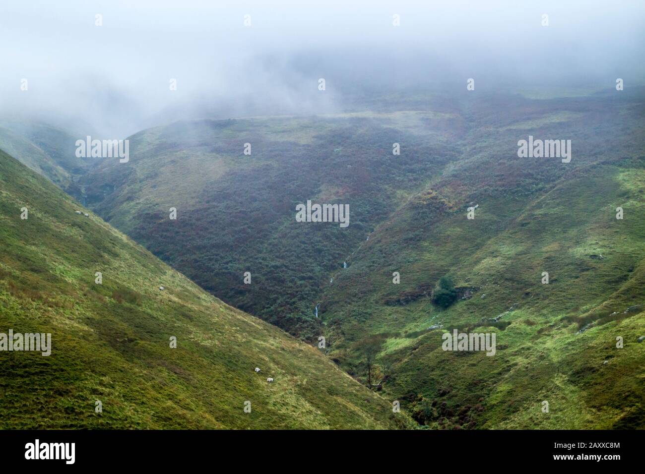 Misty moor. Low clouds covering the top of a hill. Moorland hillside in cloud at The Cloughs, Kinder Scout, Derbyshire, Peak District, England, UK Stock Photo