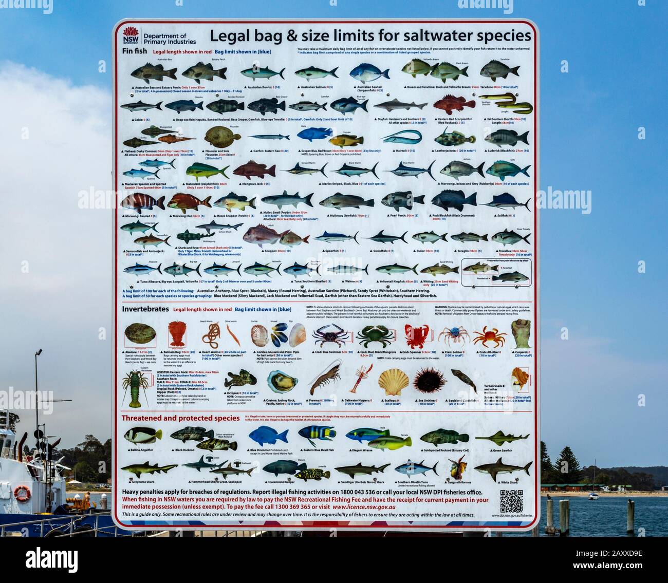 Chart Of Legal Bag And Size Limits For Saltwater Species Current In Use 