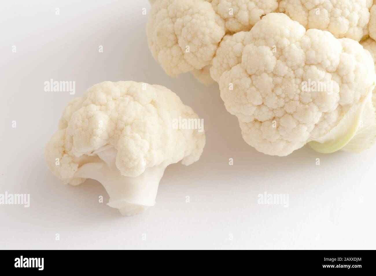 Focus to a single floret of fresh uncooked white cauliflower with additional florets alongside ready for cooking as a tasty healthy vegetable accompan Stock Photo