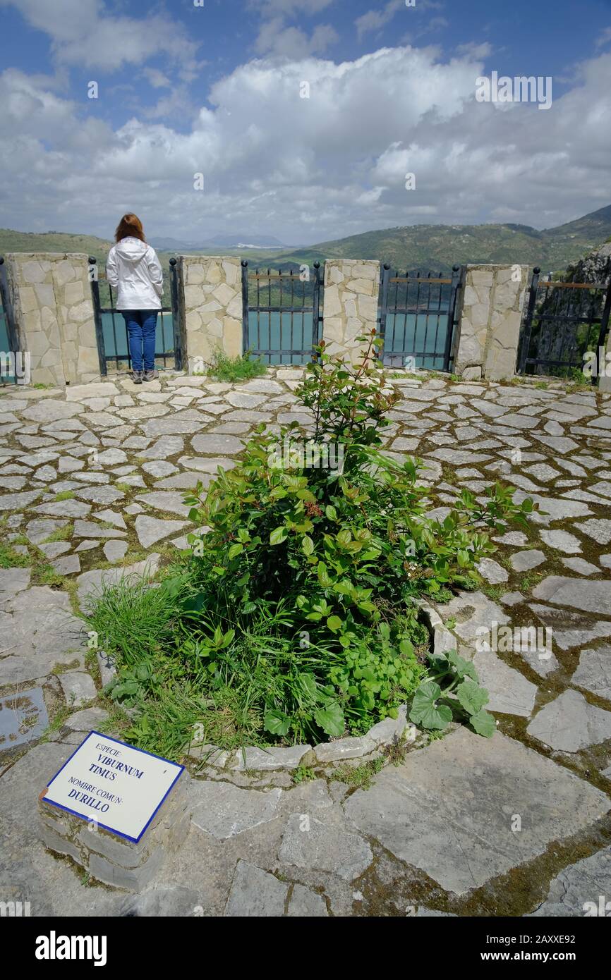 Street view of zahara de la sierra hi-res stock photography and images ...