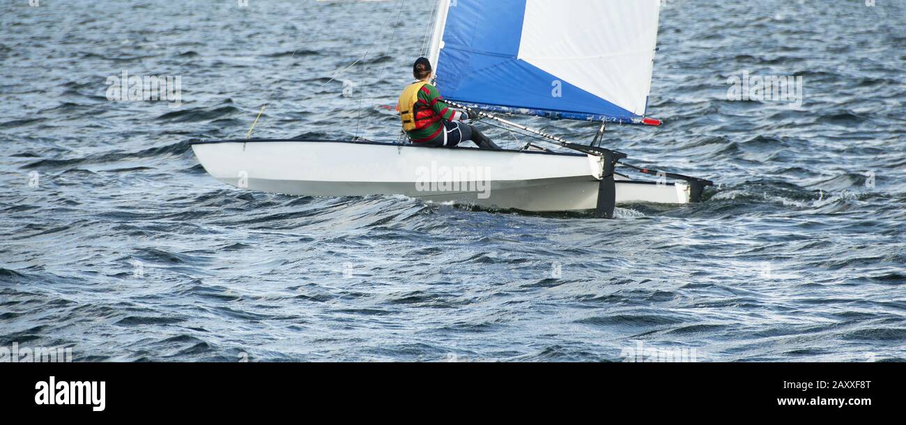 Child sailing in small colourful catamaran boat with a blue and white sail on an inland waterway. Junior sailor competing racing on saltwater Lake Mac Stock Photo