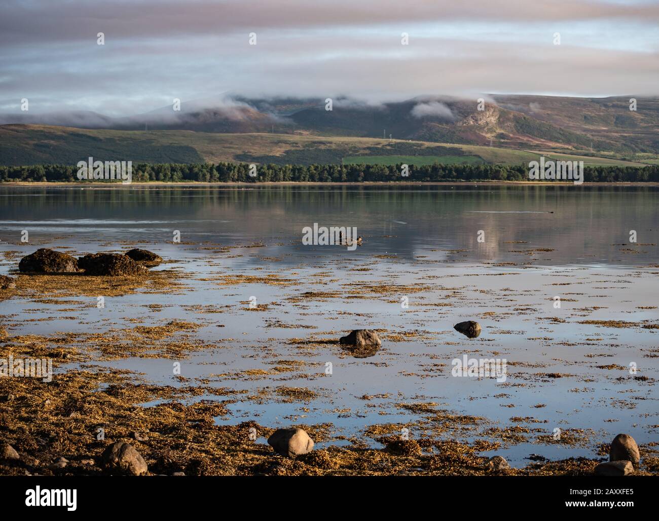Calm water of Loch Fleet, view towards hills Stock Photo