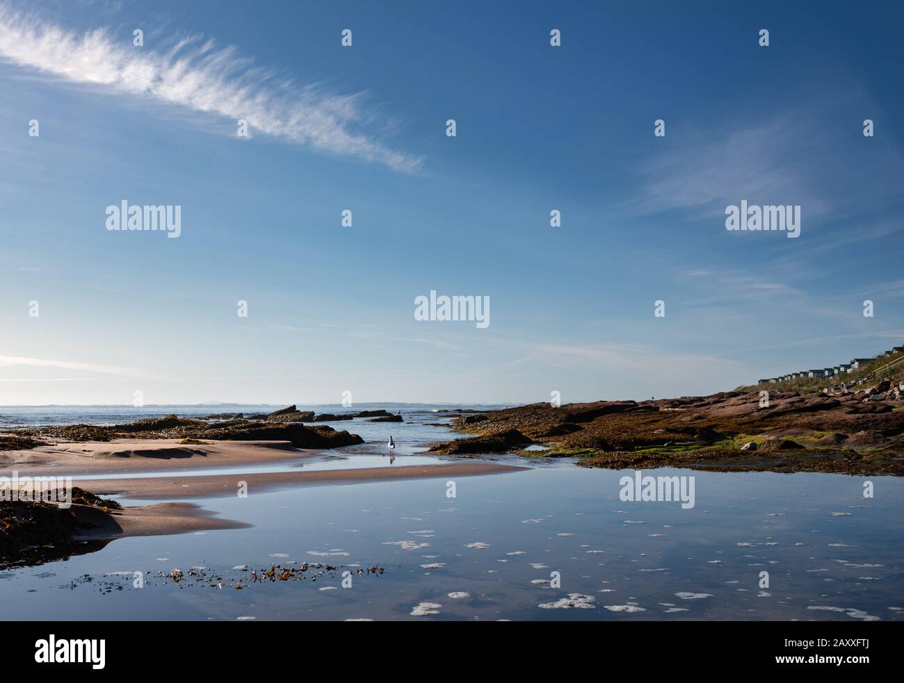 Embo beach, view towards Grannie's Heilan' Hame holiday homes Stock Photo