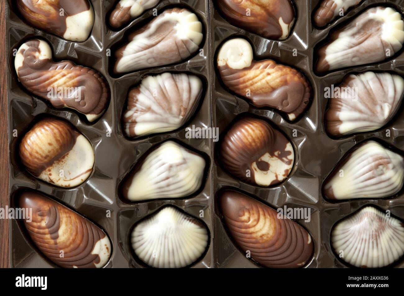 Box of packaged shellshaped chocolate candy in white and milky