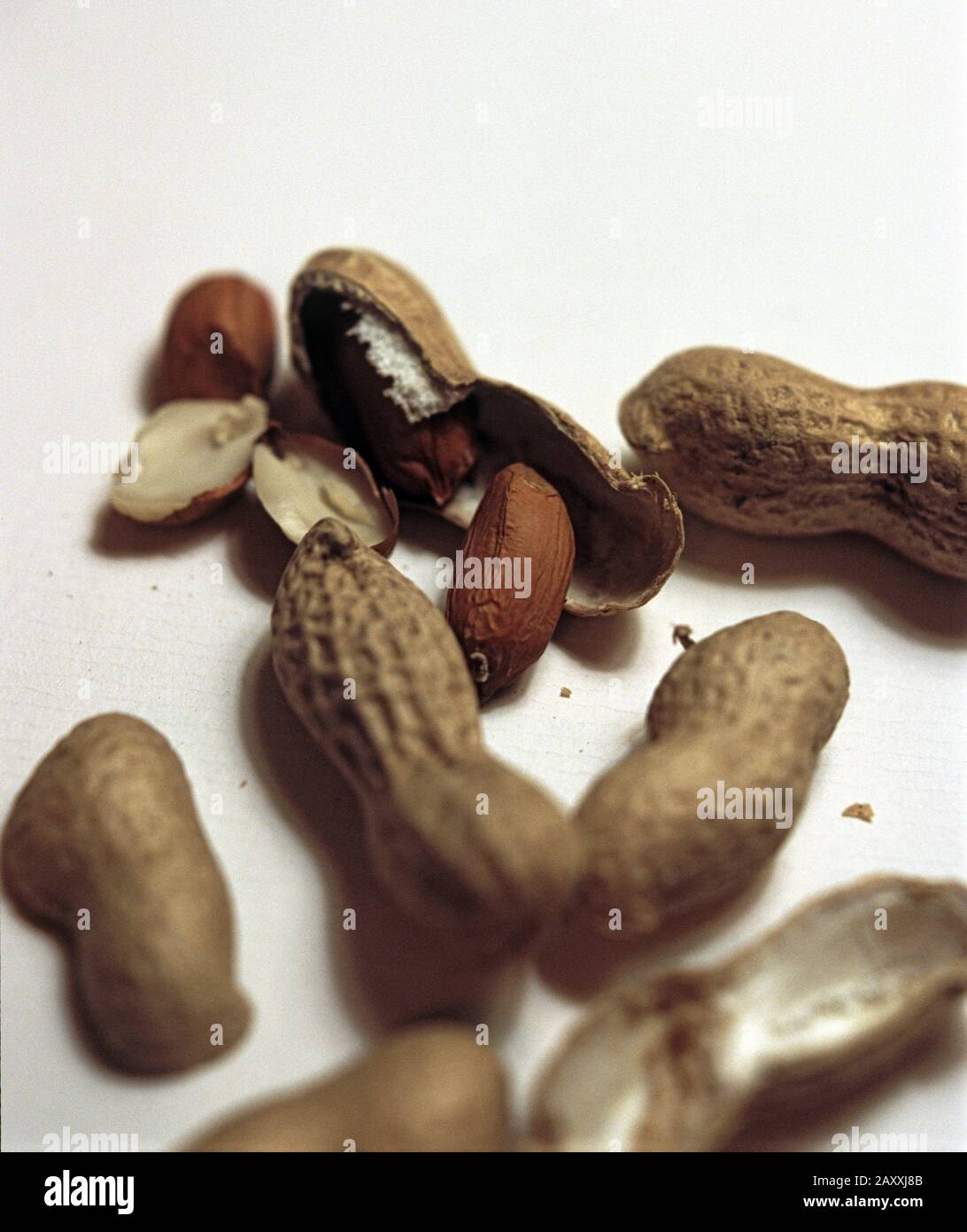 Fresh peanuts, groundnuts or monkey nuts with their shells or pods ...
