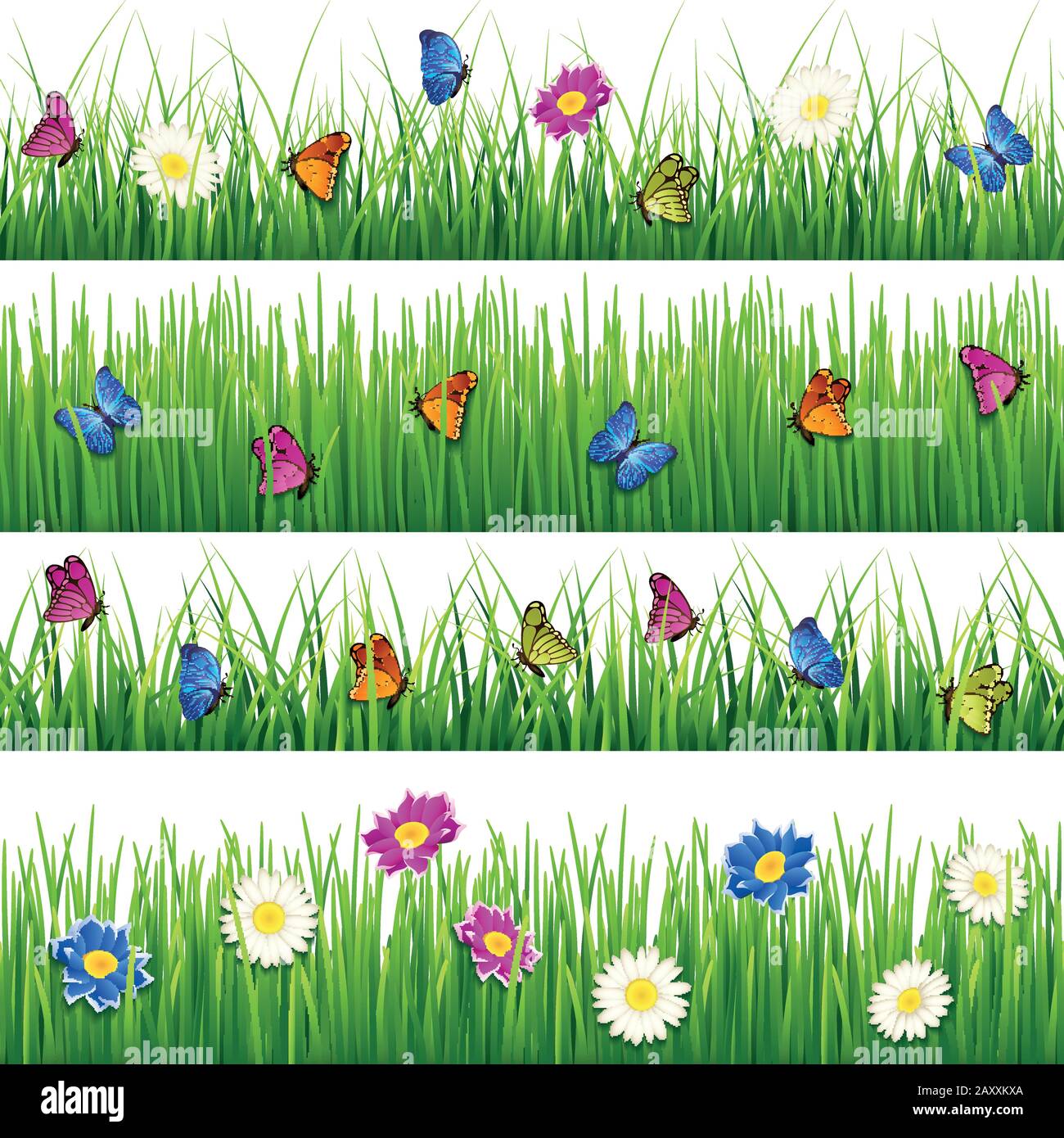 Green elegant flower butterfly border hires stock photography and